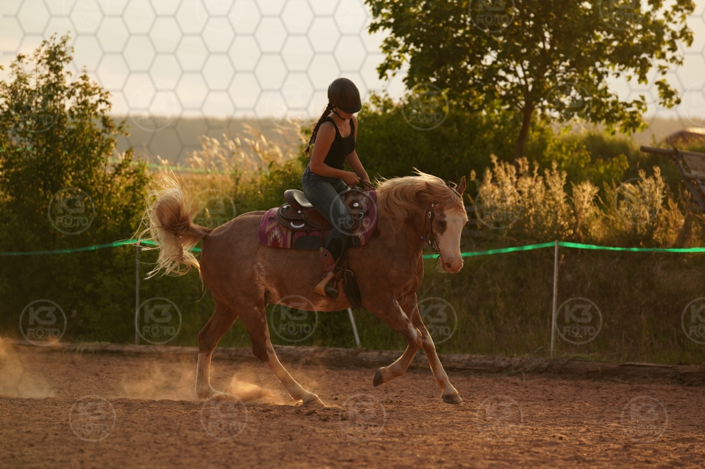 s_A9_03163.jpg